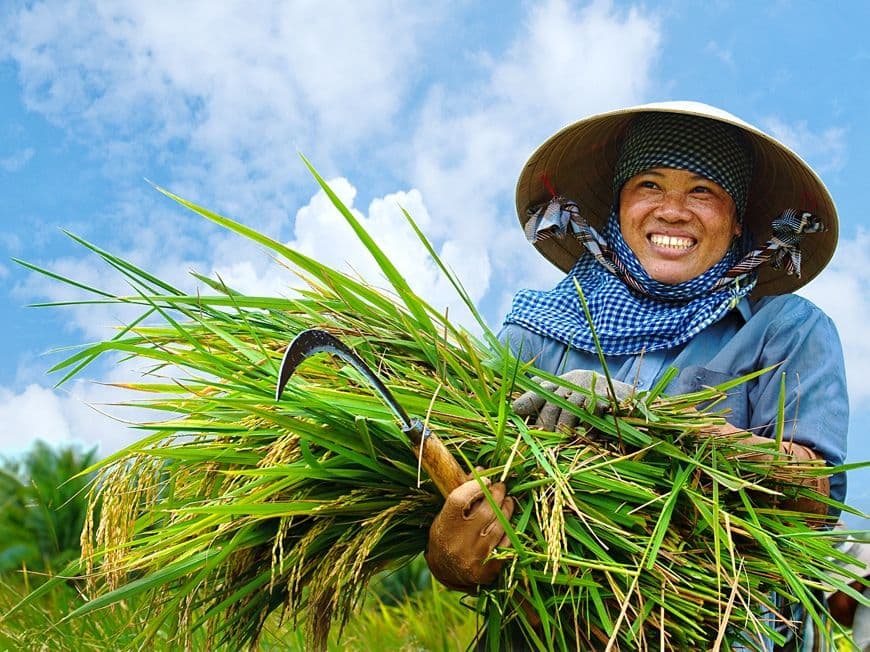 HTX ở ĐBSCL đang mất doanh thu vì thiếu một thứ: một phòng truyền thông chuyên nghiệp